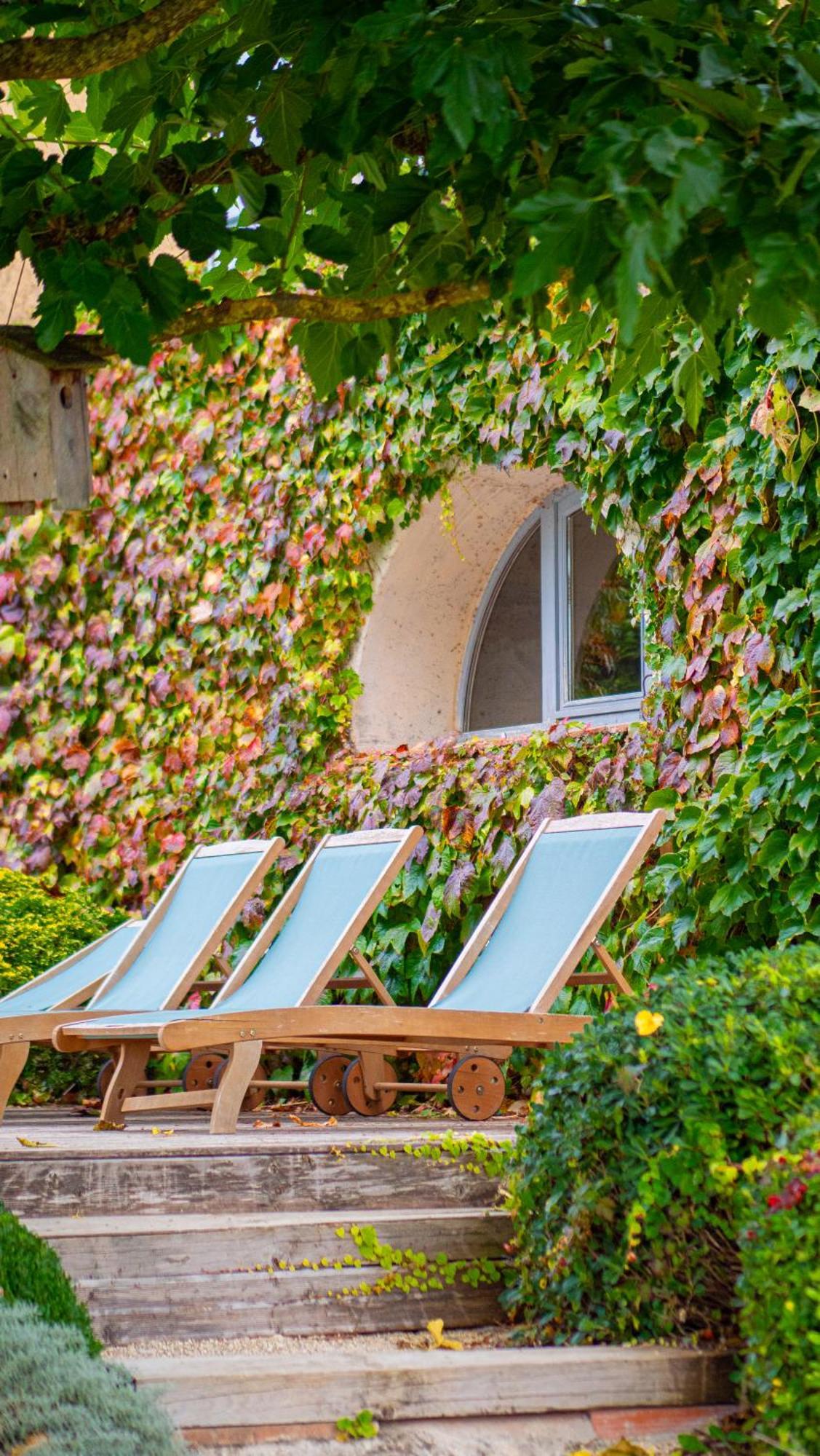 Bed and Breakfast Propriété Le Monneton Sainte-Christie Exterior foto